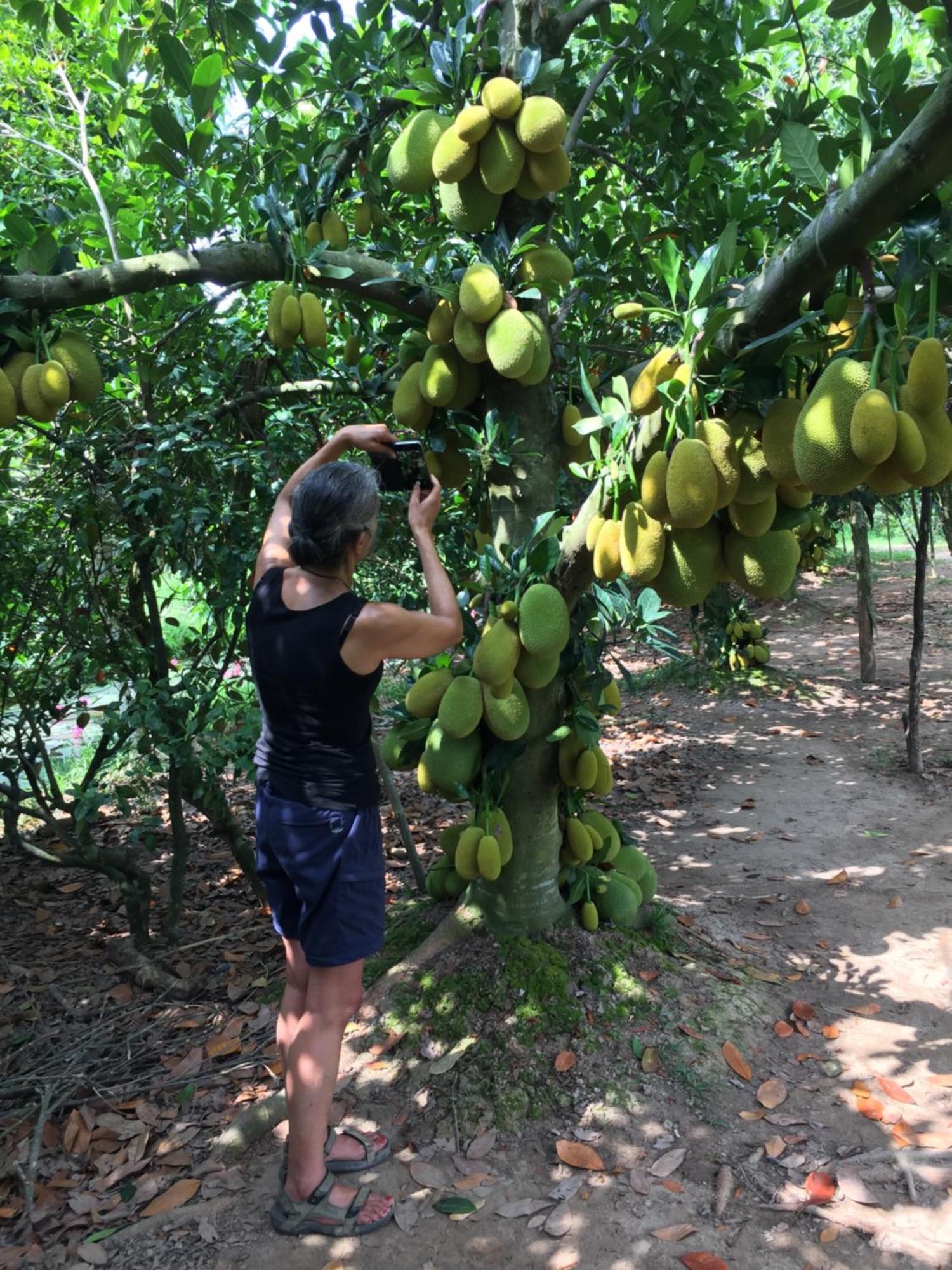 Mekong Farmstay Cantho - C.R Floating Market Cần Thơ Kültér fotó